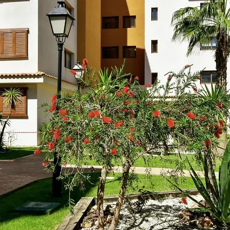 La Entrada Punta Prima (Alicante)